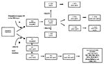 Thumbnail of Schematic diagram on a plausible evolutionary pathway of the W14 Mycobacterium tuberculosis group, compared with the New York City W-MDR (4). All members of the W14 group lineage have single mutation on codon 43 of the rpsL target gene associated with high levels of streptomycin resistance (STRR). Note that isoniazid-resistant (INHR) W23 and W14 branches have a distinct katG mutation. The W23 katG substitution on codon 315 is found on the same codon as in the W-MDR index strain but 