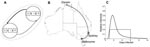 Thumbnail of Schematic of travel locations and model. A) Model schematic showing the SIR (susceptible, infectious, and recovered) classes and travel connecting the cities; B) locations of the cities and routes used in the model; C) the form of the 2 infectivity functions used to simulate the infectivity of persons over the course of their infection.