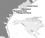 Thumbnail of Locations of state wildlife management areas where samples were collected from waterfowl for avian influenza virus surveillance, Texas mid–Gulf Coast, USA, September–January 2006–07, 2007–08, and 2008–09. Inset shows location of Texas (shaded).