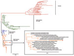 Thumbnail of Phylogenetic analysis of avian influenza subtype H10 hemagglutinin (HA) sequences. HA sequences of all subtype H10 viruses deposited in GenBank were downloaded, and a neighbor-joining tree was created by using Jukes-Cantor as the genetic distance model on Geneious 5.14 software (Biomatters Ltd, Auckland, New Zealand) and a phylogenetic tree drawn by using FigTree version 1.3.1 (http://tree.bio.ed.ac.uk/software/figtree/). A representative HA sequence from the subtype H10N7 viruses d