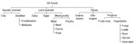 Thumbnail of Hierarchy of food commodities. Italics indicate commodity groups.