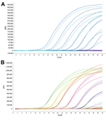 Thumbnail of Dynamic range of reverse transcription PCR for detection of oseltamivir resistance in influenza A(H7N9) virus. Amplification curves (ΔRn vs. cycle number) for serial dilutions of plasmid with 292K (mutant) or R292 (wild-type) neuraminidase (NA) fragments. ΔRN is change in signal magnitude (reporter signal minus baseline signal). Assay dynamic range was linear at template concentrations of 102–108 copies/reaction. A) Detection of NA 292K mutant strain with probe N9-K: slope = −3.388,