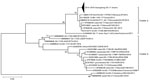 Thumbnail of Phylogenetic tree of noroviruses based on the 282-bp region of the capsid N terminus/shell gene. Nucleotide sequences were analyzed by using the maximum-likelihood method. Supporting bootstrap values &gt;70 are shown. The subtrees of GII.17 detected in Guangdong Province , China, during 2014–2015 were compressed. GII.21 genotype strains were used as outgroups. Scale bar indicates nucleotide substitutions per site. Sequences of 24 reference norovirus strains are included. Arrowhead r