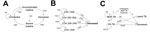 Thumbnail of Health state transition diagrams for A) malaria, B) HIV/AIDS, and C) tuberculosis models for disease transmission and progression. T, patient was treated; NT, no treatment was provided; TF, treatment failure or default.