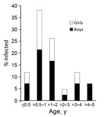 Thumbnail of Percentage infected with pathogenic Yersinia enterocolitica, by age and sex, of total infected with Y. enterocolitica, China, 2010–2015.