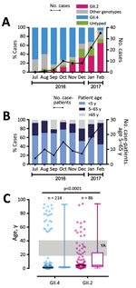 Thumbnail of Emergence of a new recombinant norovirus GII.P16-GII.2, Hong Kong, China, winter 2016–2017. A) Distribution of norovirus genotypes, July 2016–February 2017. B) Proportion of norovirus case-patients among 3 stratified age groups. C) Age distribution of hospitalized case-patients with GII.4 and GII.2 infections. A total of 214 GII.4 and 86 GII.2 case-patients are shown. Black horizontal lines represent medians. Gray shading denotes young adults (YA; 18–40 years of age). p value calcul