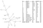 Thumbnail of Maximum parsimony analysis on MLVA-16 (multilocus variable-number tandem-repeat analysis) of genotypes from 2 recent Brucella suis biovar 1 isolates from the Netherlands (WBVR2016 from a dog and WBVR2017 from hare carcasses) in conjunction with B. suis biovar 1 strains of the highest similarity from a public database (http://microbesgenotyping.i2bc.paris-saclay.fr/) with 521 entries of B. suis. NA, not available.