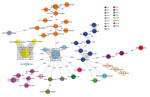 Thumbnail of Minimum-spanning tree of 59 Cronobacter sakazakii isolates, including 21 human isolates from 2017 and 38 historical human isolates, from 11 countries in Europe. Each circle represents isolates with an allelic profile based on the core genome multilocus sequence type, which consists of 2,831 alleles. Blue numbers indicate the allelic differences between isolates; isolates with closely related genotypes are shaded in gray. Isolates were colored according to classical multilocus sequen