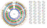 Whole-genome comparison of pR444_A–like plasmids in Shiga toxin–producing Escherichia coli strains harboring extraintestinal pathogenic E. coli (ExPEC)–associated virulence genes, Italy, 2000–2019. The pR444_A plasmid from RDEx444 strain was used as reference for alignment and gene annotation. Genomic annotation was performed by using the Prokka tool 1.14.5 (https://github.com/tseemann/prokka) and a multi-fasta file of trusted proteins related to ExPEC-associated genes on pR444_A. The comparative analysis also included the pS88 plasmid (GenBank accession no. CU928146.1) commonly found in ExPEC strains. 