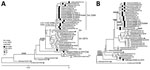 Evolutionary relationships of the HA (A) and NA (B) genes of influenza A(H1N1)pdm09 viruses circulating in the United States during the 2019–20 influenza season compared with reference viruses. We generated phylogenetic trees using MEGA software version 10.1.8 (http://www.megasoftware.net) and the bootstrap method (1,000 replications). We computed evolutionary distances by using the maximum composite likelihood model. Analysis included 40 representative A(H1N1)pdm09 HA and NA gene sequences. Boldface indicates oseltamivir-resistant viruses carrying NA-H275Y substitution; asterisks indicate vaccine viruses. A/California/07/2009 virus (the first A(H1N1)pdm09 vaccine) is used as a reference for ancestry (root) and numbering. Scale bar represents nucleotide substitutions per site. HA, hemagglutinin; NA, neuraminidase.