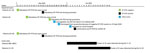 Timeline of COVID-19 cases during fourth epidemic, September 9–October 19, 2020, Hong Kong, China. Asymptomatic cases occurred in patients A1–A3, B1, B2, BB4, BB12, BB13, BB15, C3, C4, C7, and C9. Symptomatic cases occurred among patients A4, BB1–BB3, BB5–BB11, BB14, C1, C2, C5, C6, and C8. COVID-19, coronavirus disease; RT-PCR, reverse transcription PCR.