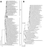 Phylogenetic analysis of genetically distinct highly pathogenic avian influenza H5N5 and H5N1 viruses isolated in Japan in winter 2023–24. H5 hemagglutinin (A) and N5 neuraminidase (B) gene segments of H5N5 highly pathogenic avian influenza viruses (HPAIVs) isolated in winter 2023–24 were compared with reference strains within clade 2.3.4.4b obtained from GISAID (https://www.gisaid.org). Squares indicate H5N1 and circles indicate H5N5 HPAIVs isolated from crows in Hokkaido in winter 2023–24. Bold text indicates the H5N5 HPAIV isolated from a peregrine falcon in Kumamato in the southern part of Japan in winter 2023–24. Trees were constructed by using the maximum-likelihood method and MEGA 7 software (https://www.megasoftware.net). Bootstrap values (>50%) from 1,000 replicates are indicated on nodes. Isolated viruses belonging to subgroups G1, G2a, and G2d and clade 2.3.4.4b are indicated. Dates after strain names indicate sample collection dates for HPAIV-infected animals. Scale bar indicates number of nucleotide substitutions per site.