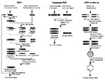 Thumbnail of Schematic representation of different molecular approaches to the identification of unculturable infectious agents.