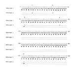 Thumbnail of DNA and putative amino acid sequences of Cryptosporidium parvum TRAP-C2 genotypes 1 and 2.