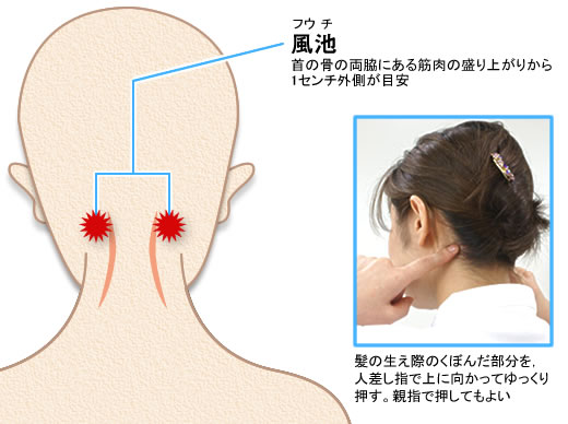 図3●首の後ろにある「風池」の押し方