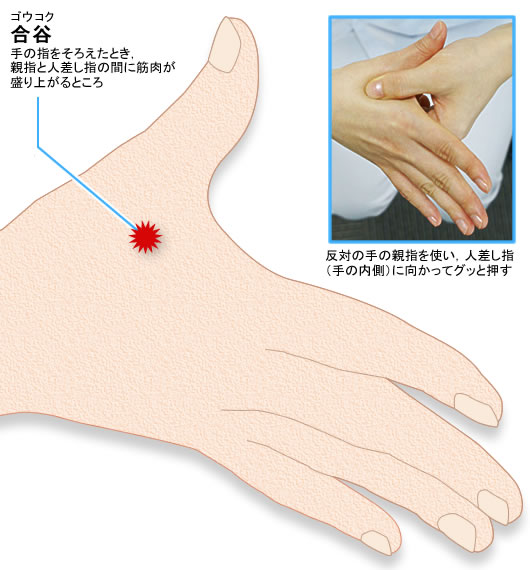 図4●手にある「合谷」の押し方