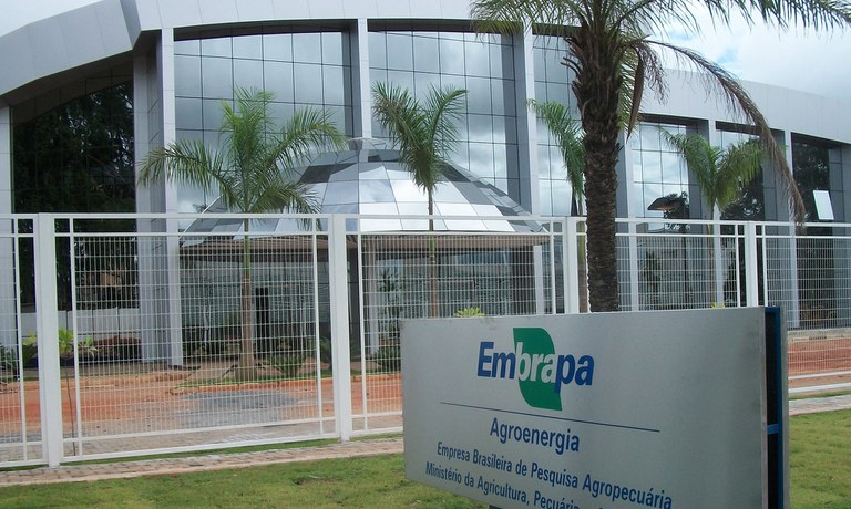 Foto: Divulgação/Embrapa