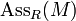 \operatorname{Ass}_R(M)\,