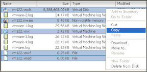 VMware ESXi clone