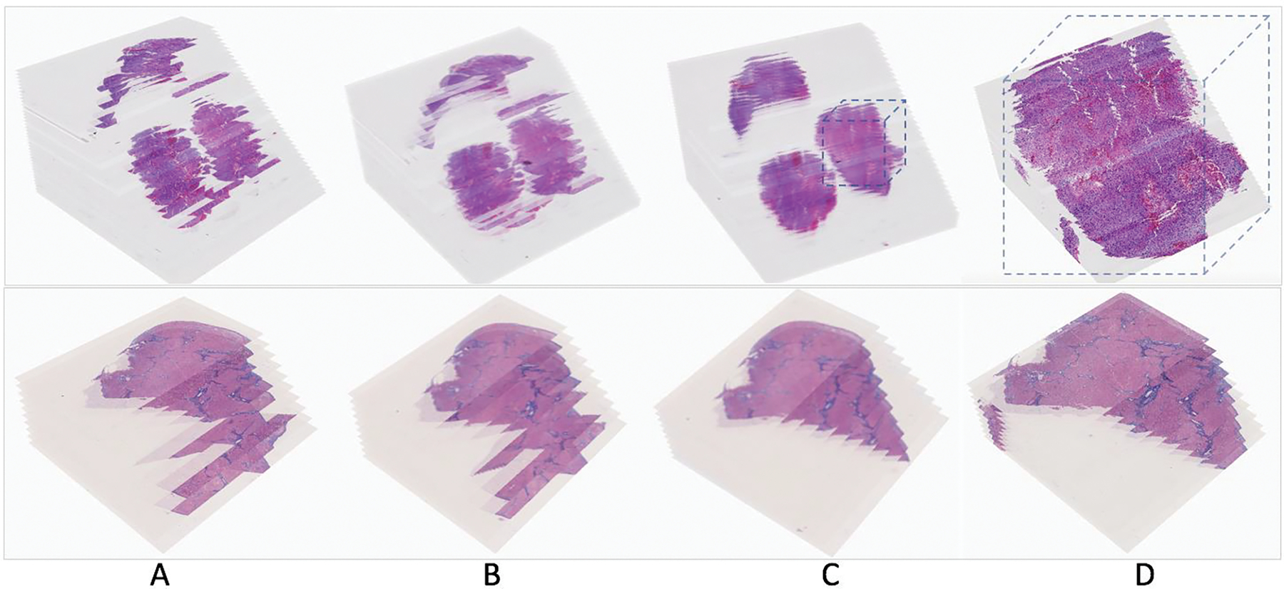 An external file that holds a picture, illustration, etc.
Object name is nihms-1871079-f0001.jpg