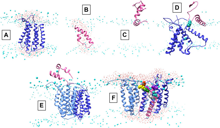 An external file that holds a picture, illustration, etc.
Object name is fchem-11-1113885-g002.jpg