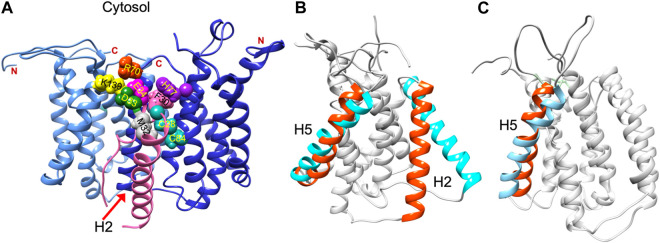 An external file that holds a picture, illustration, etc.
Object name is fchem-11-1113885-g003.jpg