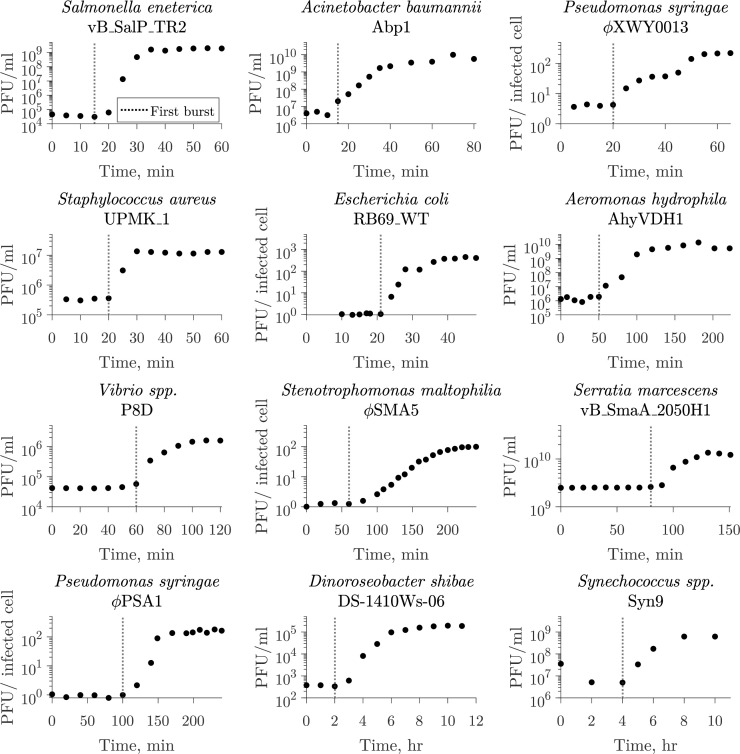 One-step growth curves for inferring lysis timing. This figure shows examples of different microbe virus pairs where the time of first burst was reported as the latent period ranging from 15 min to 4 h.