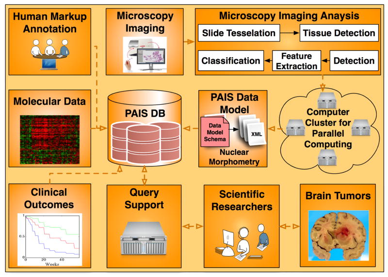 An external file that holds a picture, illustration, etc.
Object name is nihms352805f1.jpg