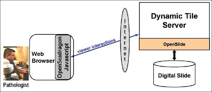 An external file that holds a picture, illustration, etc.
Object name is JPI-4-27-g006.jpg