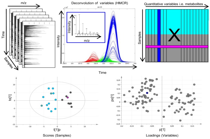 An external file that holds a picture, illustration, etc.
Object name is metabolites-05-00502-g003.jpg