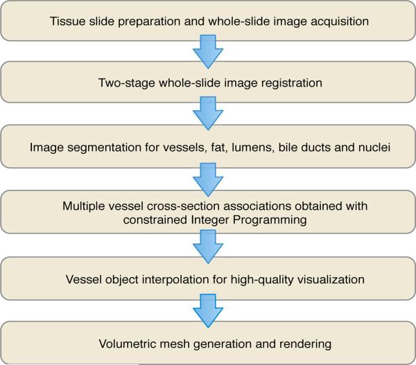 An external file that holds a picture, illustration, etc.
Object name is nihms-704735-f0001.jpg