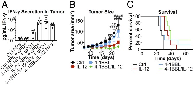 An external file that holds a picture, illustration, etc.
Object name is pnas.1916039117fig03.jpg