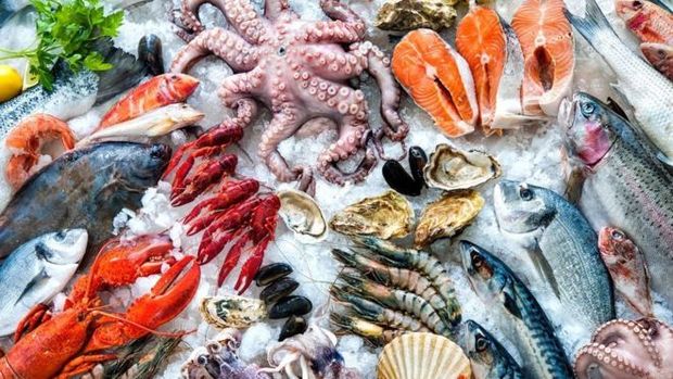 Especialistas recomendam que consumidores fiquem atentos � quantidade de merc�rio em frutos do mar e peixes