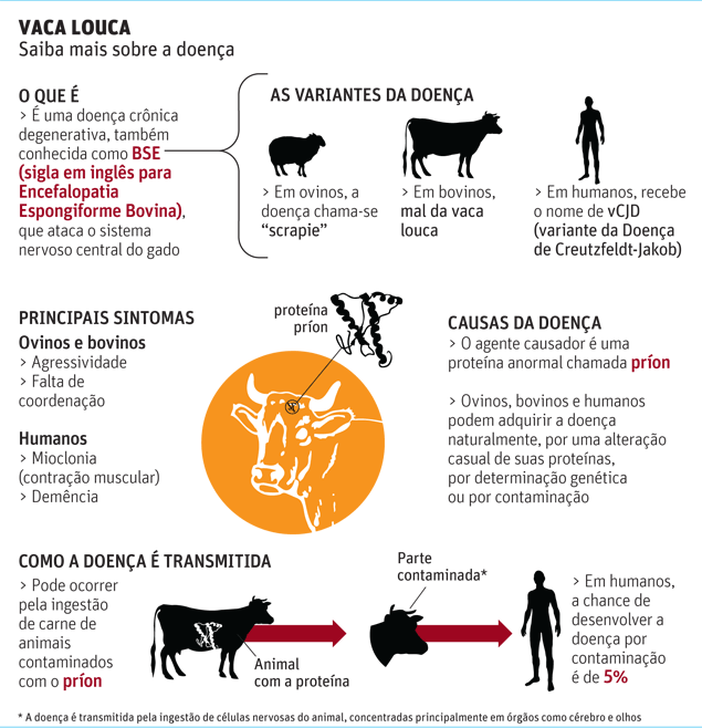 VACA LOUCA Saiba mais sobre a doen�a