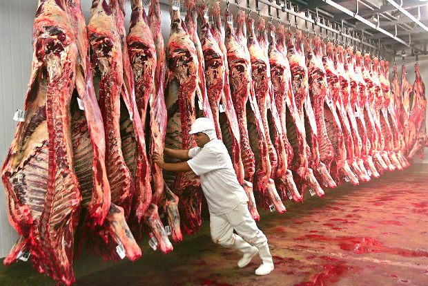 BARRETOS, SP, BRASIL, 25-11-2008: Funcion�rios trabalham na linha de produ��o do frigor�fico Minerva, em Barretos, interior de S�o Paulo. (Foto: Edson Silva/Folhapress, Folha Ribeirao