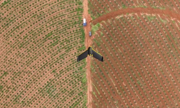 Drone da Eldorado Brasil sobrevoa uma planta��o de eucaliptos em Tr�s Lagoas (MS)