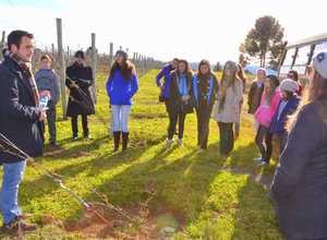 Jovens estudam vinho e agronegócios em Santa Catarina – Antonio Carlos Mafalda/Divulgação