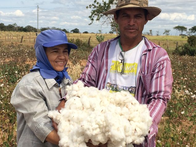 O casal de produtores de algod�o Azeli e Jos� Alves de Souza, em Catuti, Minas Gerais