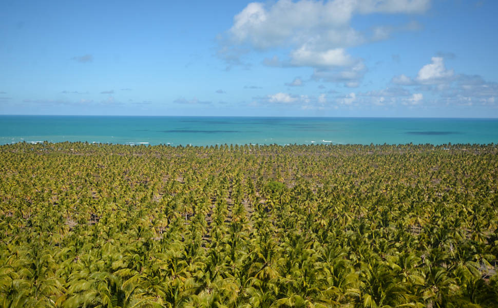 Turismo em Alagoas