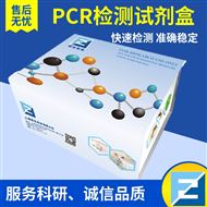 RNAclean RNA 清潔純化試劑盒