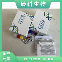 魚(yú)兒茶酚胺（CA）Elisa定量試劑盒