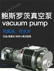 BSV90鮑斯雙極油旋片真空泵維修