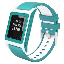 Pebble 2