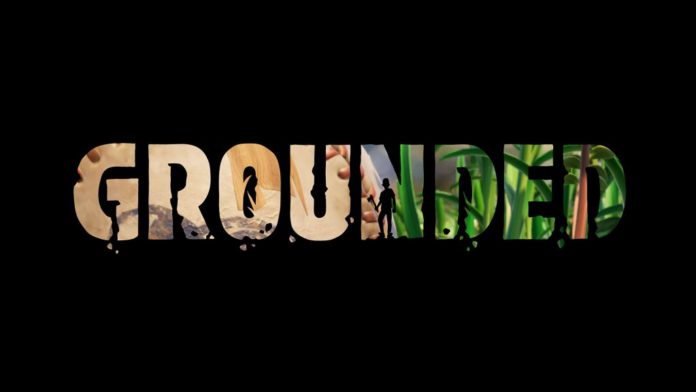 Obsidian Entertainment publie une première bande-annonce pour Grounded
