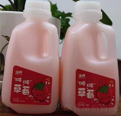 ����ݮζ�������Ʒ480ml��������