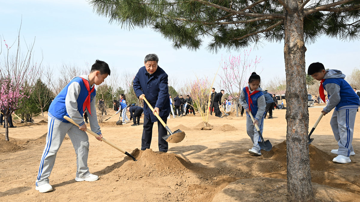 习近平在参加首都义务植树活动时强调 汇聚共建美丽中国磅礴力量 让祖国大地更加绿意盎然生机勃发
