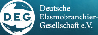 Logo der Deutschen Elasmobranchier-Gesellschaft e.V.