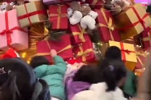 【動画】クリスマスツリーからギフトボックスを強奪する中国人たち。