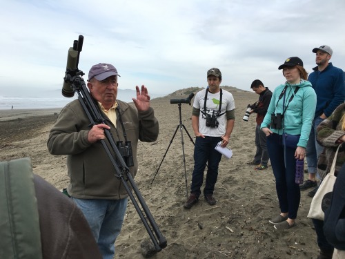 Dan Murphy talks about these beautiful birds