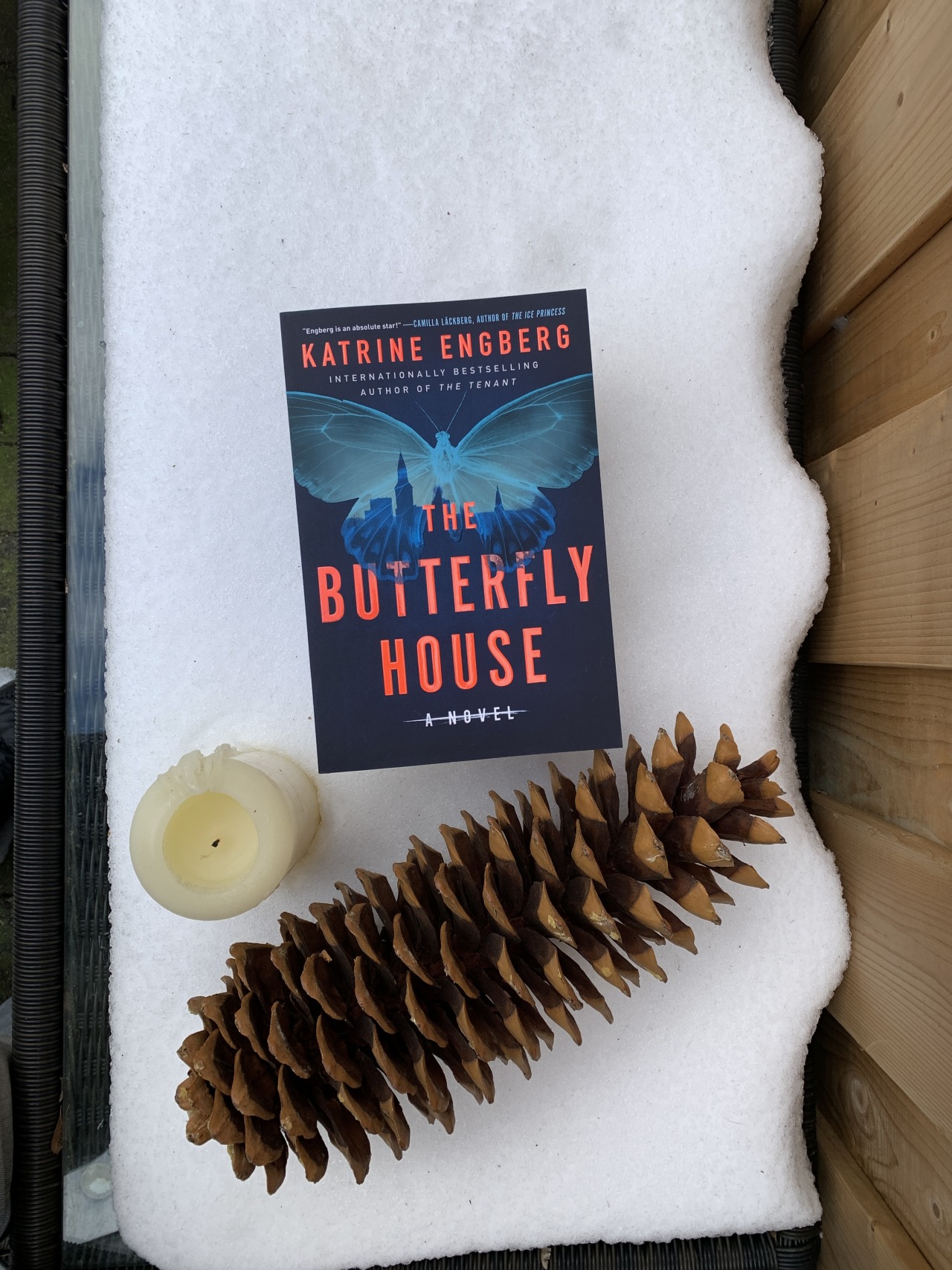 It’s hard to explain why we are obsessed with gritty crime thrillers like THE BUTTERFLY HOUSE by Katrine Engberg, but this one is particularly compelling. If you have ever read (and loved) Kathy Reichs, this might be your new favourite series… Find...